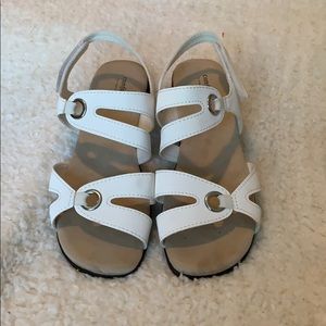 Comfort Plus by Predictions